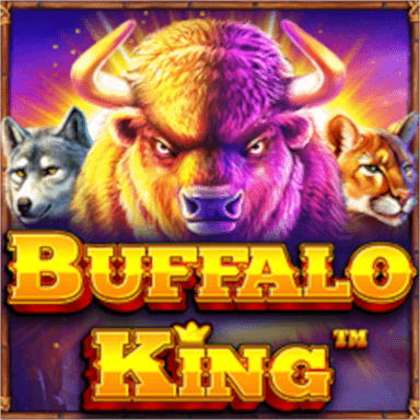 Buffalo Mega